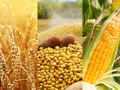 Agro-commodities