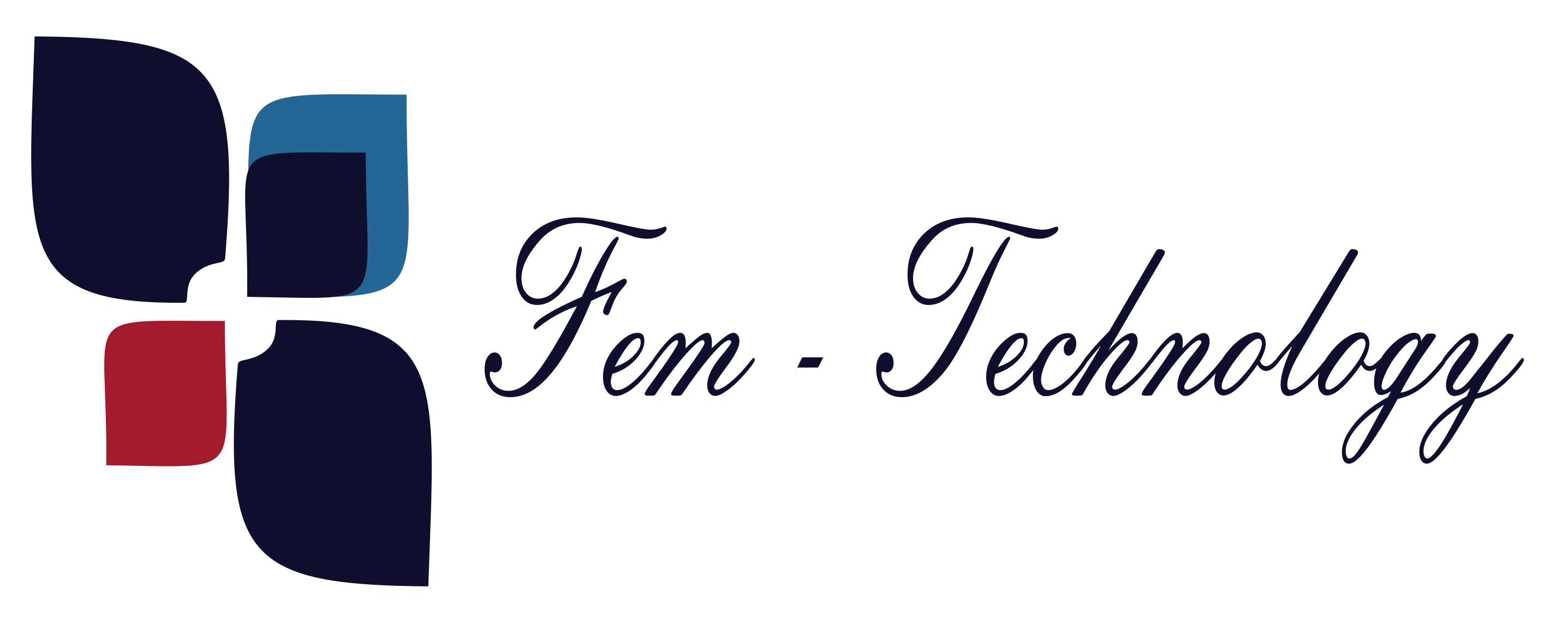 What Are Fem Terms